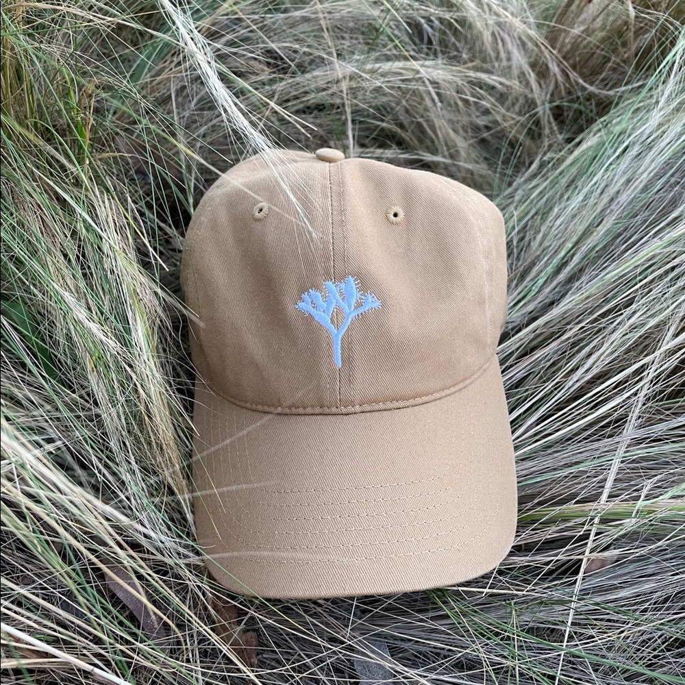 • Joshua Tree Dad Hat • - Picture 2 of 5